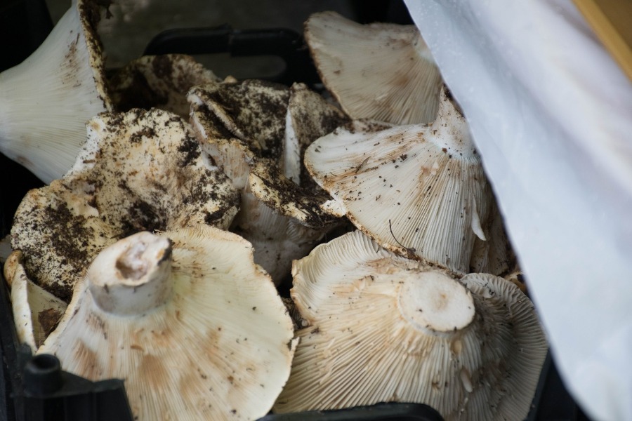 ���� ����� - 2023